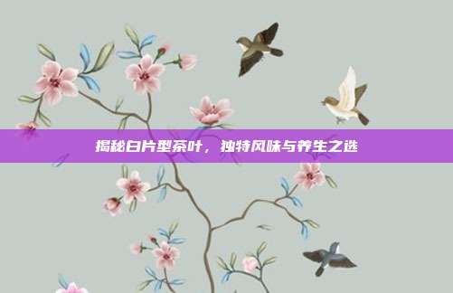 揭秘白片型茶叶，独特风味与养生之选