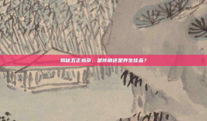 揭秘五正熟茶，是传销还是养生佳品？