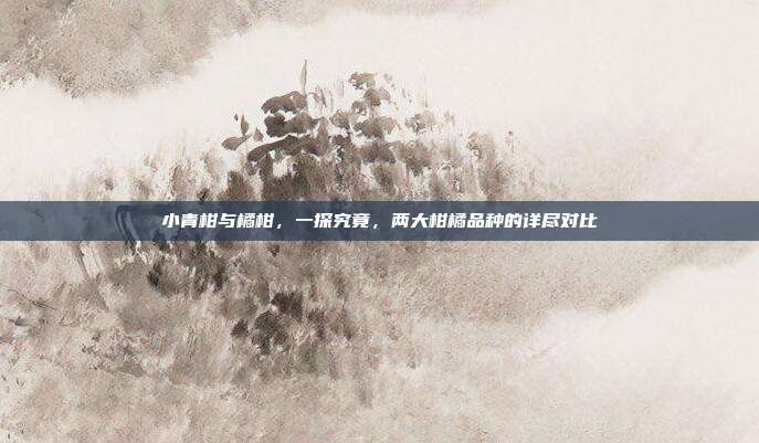 小青柑与橘柑，一探究竟，两大柑橘品种的详尽对比