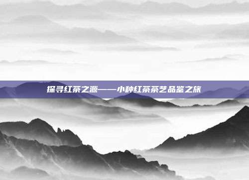 探寻红茶之源——小种红茶茶艺品鉴之旅