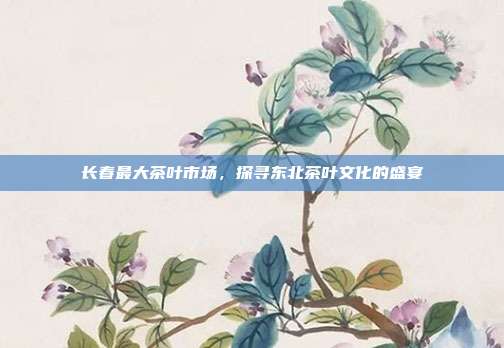 长春最大茶叶市场，探寻东北茶叶文化的盛宴