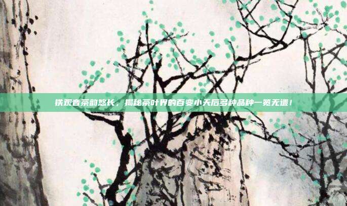 铁观音茶韵悠长，揭秘茶叶界的百变小天后多种品种一览无遗！