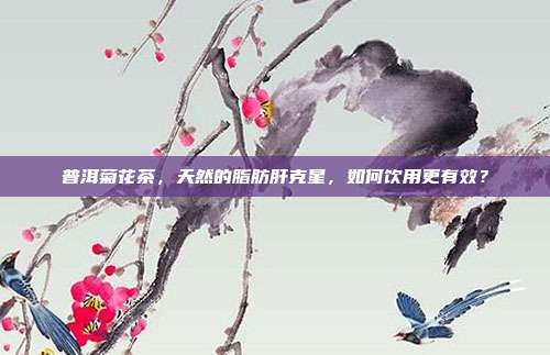 普洱菊花茶，天然的脂肪肝克星，如何饮用更有效？