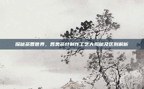 探秘茶香世界，各类茶叶制作工艺大揭秘及区别解析