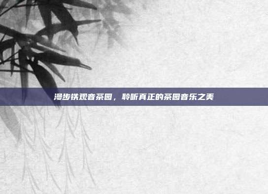 漫步铁观音茶园，聆听真正的茶园音乐之美