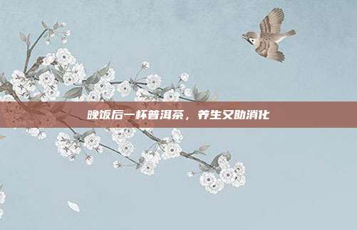 晚饭后一杯普洱茶，养生又助消化