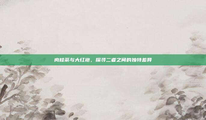 肉桂茶与大红袍，探寻二者之间的独特差异