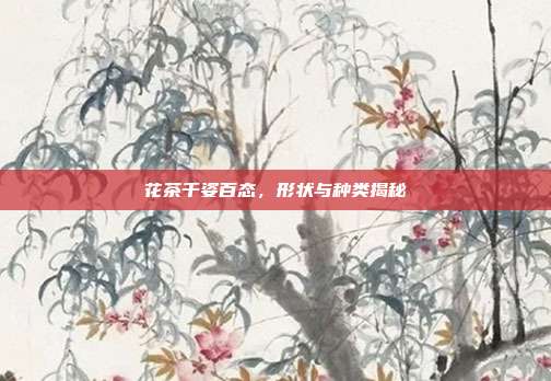 花茶千姿百态，形状与种类揭秘