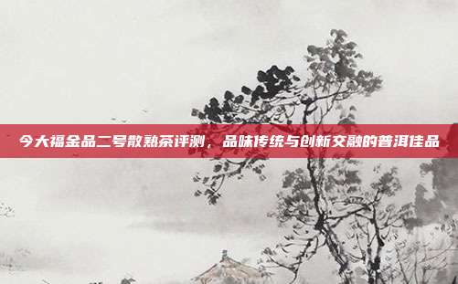 今大福金品二号散熟茶评测，品味传统与创新交融的普洱佳品