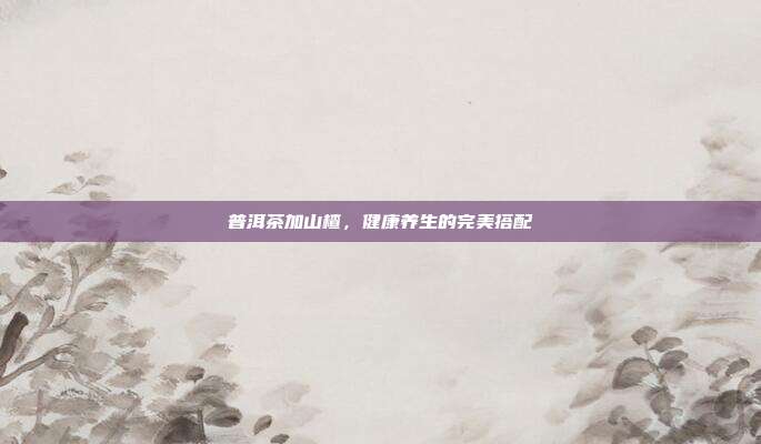 普洱茶加山楂，健康养生的完美搭配