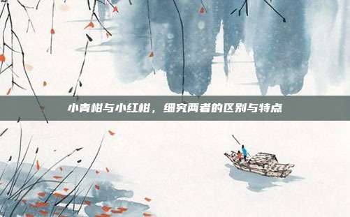 小青柑与小红柑，细究两者的区别与特点