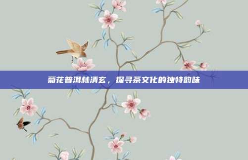菊花普洱林清玄，探寻茶文化的独特韵味