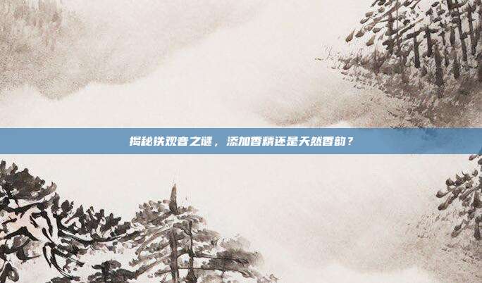揭秘铁观音之谜，添加香精还是天然香韵？
