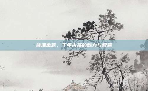 普洱寓意，千年古茶的魅力与智慧