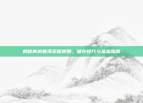 揭秘青柑普洱茶保质期，储存技巧与品鉴指南