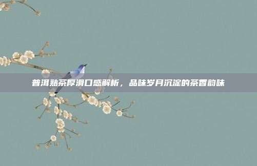 普洱熟茶厚滑口感解析，品味岁月沉淀的茶香韵味