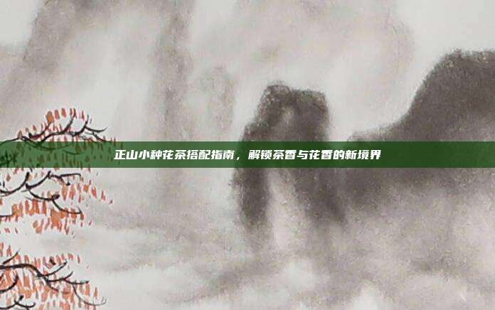 正山小种花茶搭配指南，解锁茶香与花香的新境界