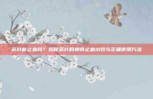 茶叶能止血吗？揭秘茶叶的神奇止血功效与正确使用方法