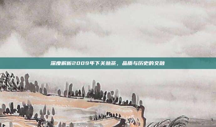 深度解析2009年下关熟茶，品质与历史的交融