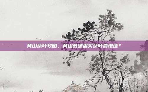 黄山茶叶攻略，黄山去哪里买茶叶最地道？