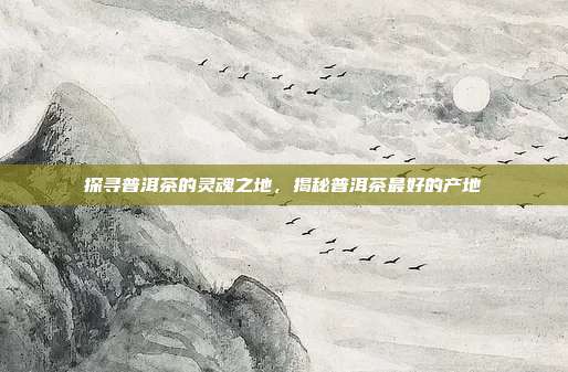 探寻普洱茶的灵魂之地，揭秘普洱茶最好的产地