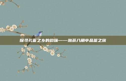 探寻孔雀之乡的韵味——熟茶八角亭品鉴之旅