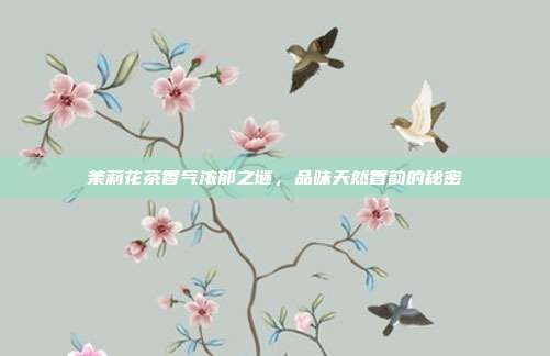 茉莉花茶香气浓郁之谜，品味天然香韵的秘密