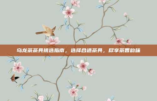 乌龙茶茶具挑选指南，选择合适茶具，尽享茶香韵味