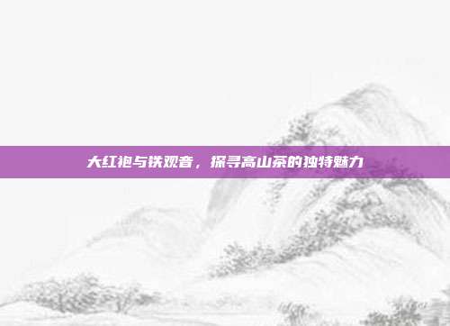 大红袍与铁观音，探寻高山茶的独特魅力