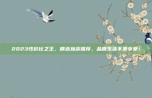 2023性价比之王，精选熟茶推荐，品质生活不贵享受！