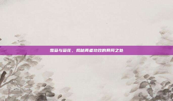 雪菊与菊花，揭秘两者功效的异同之处