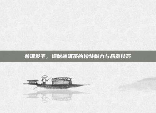 普洱发毛，揭秘普洱茶的独特魅力与品鉴技巧