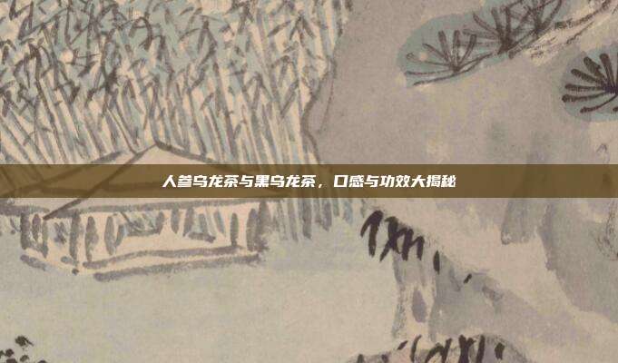 人参乌龙茶与黑乌龙茶，口感与功效大揭秘