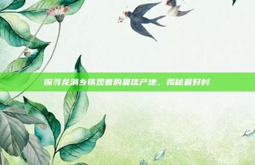 探寻龙涓乡铁观音的最佳产地，揭秘最好村