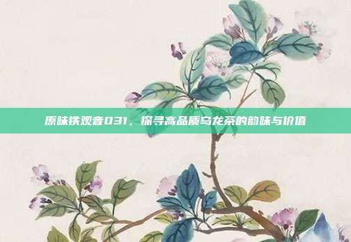 原味铁观音031，探寻高品质乌龙茶的韵味与价值