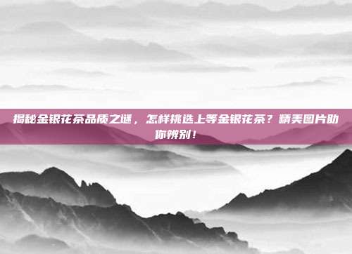 揭秘金银花茶品质之谜，怎样挑选上等金银花茶？精美图片助你辨别！