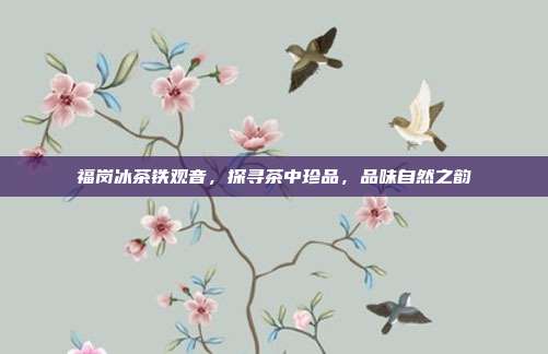 福岗冰茶铁观音，探寻茶中珍品，品味自然之韵