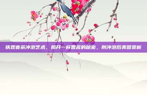 铁观音茶冲泡艺术，揭开一杯香茗的秘密，附冲泡后美图赏析