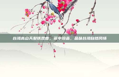 台湾高山天梨铁观音，茶中珍品，品味台湾自然风情