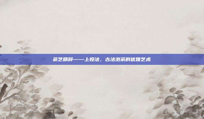 茶艺精粹——上投法，古法泡茶的优雅艺术