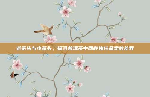 老茶头与小茶头，探寻普洱茶中两种独特品类的差异