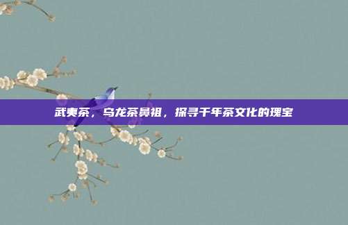 武夷茶，乌龙茶鼻祖，探寻千年茶文化的瑰宝