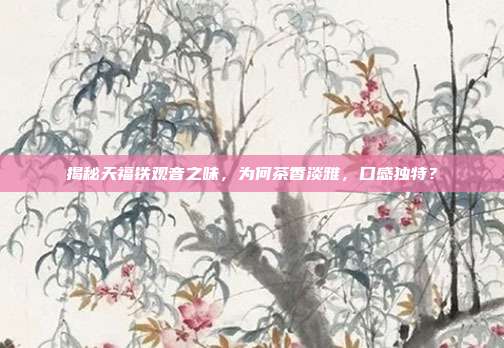 揭秘天福铁观音之味，为何茶香淡雅，口感独特？