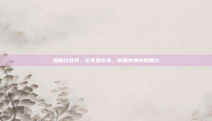 揭秘白牡丹，它不是花茶，却拥有独特的魅力