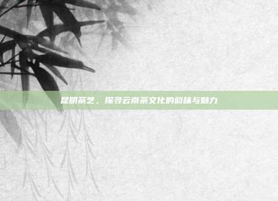 昆明茶艺，探寻云南茶文化的韵味与魅力