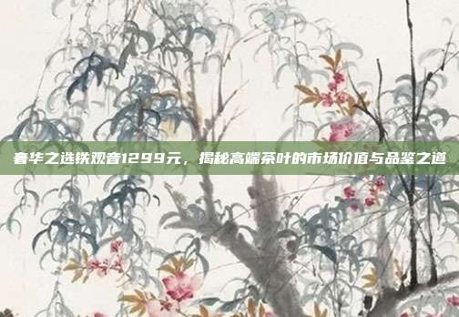 奢华之选铁观音1299元，揭秘高端茶叶的市场价值与品鉴之道