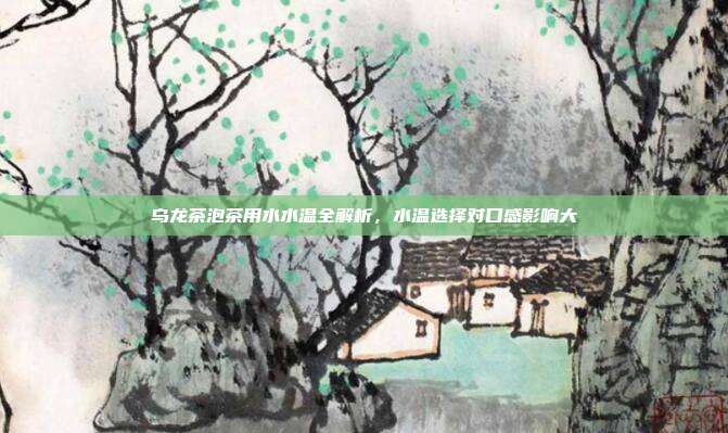 乌龙茶泡茶用水水温全解析，水温选择对口感影响大
