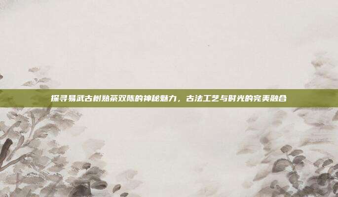 探寻易武古树熟茶双陈的神秘魅力，古法工艺与时光的完美融合