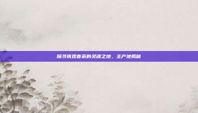 探寻铁观音茶的灵魂之地，主产地揭秘