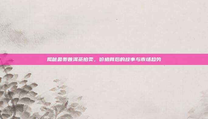 揭秘最贵普洱茶拍卖，价格背后的故事与市场趋势
